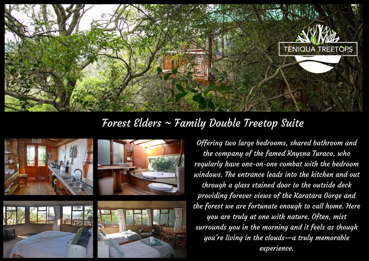 Teniqua Treetops Karatara Settlement Bagian luar foto