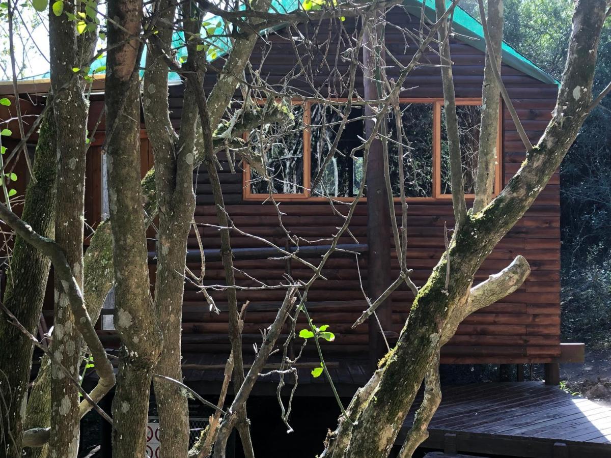 Teniqua Treetops Karatara Settlement Bagian luar foto