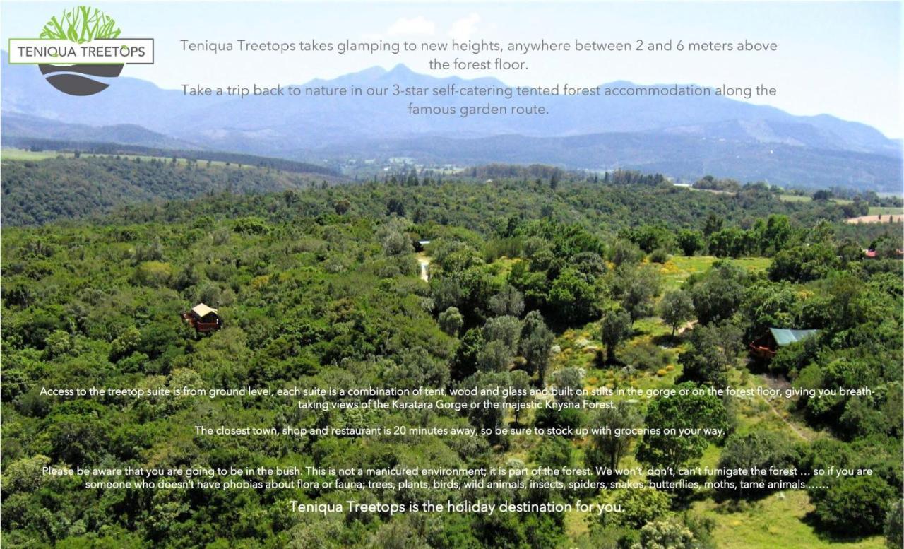 Teniqua Treetops Karatara Settlement Bagian luar foto