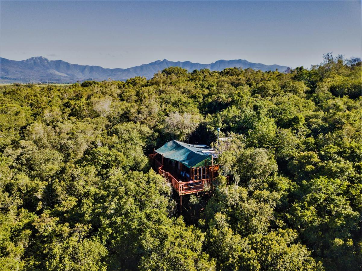 Teniqua Treetops Hotel Karatara Settlement Bagian luar foto