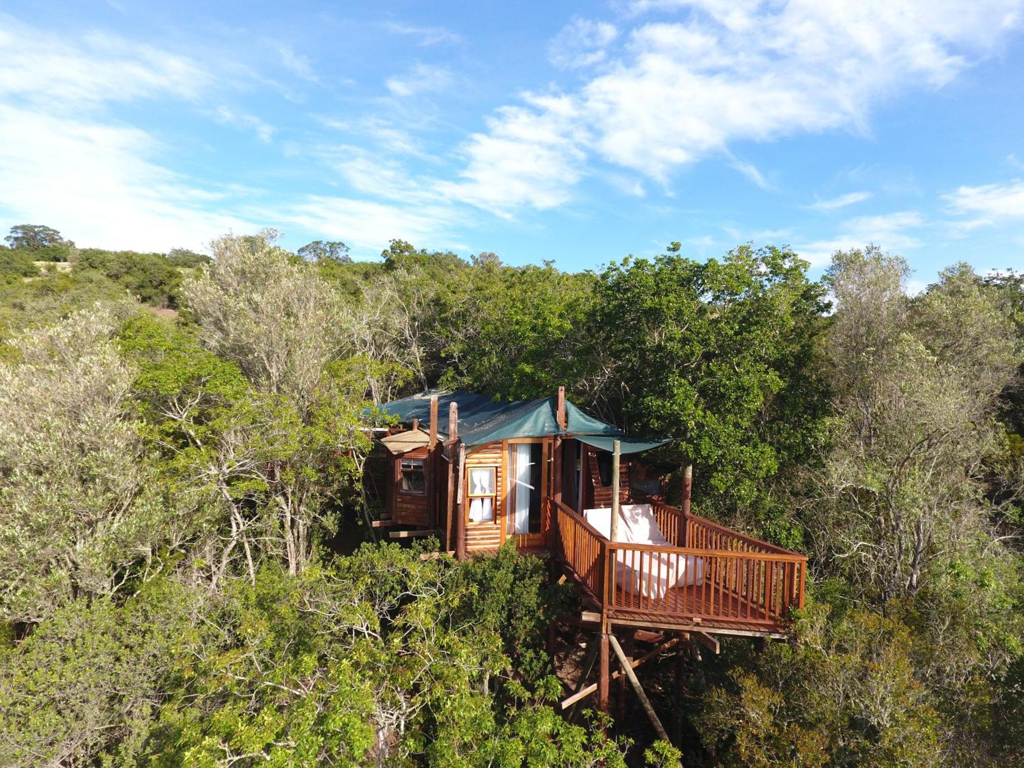 Teniqua Treetops Hotel Karatara Settlement Bagian luar foto