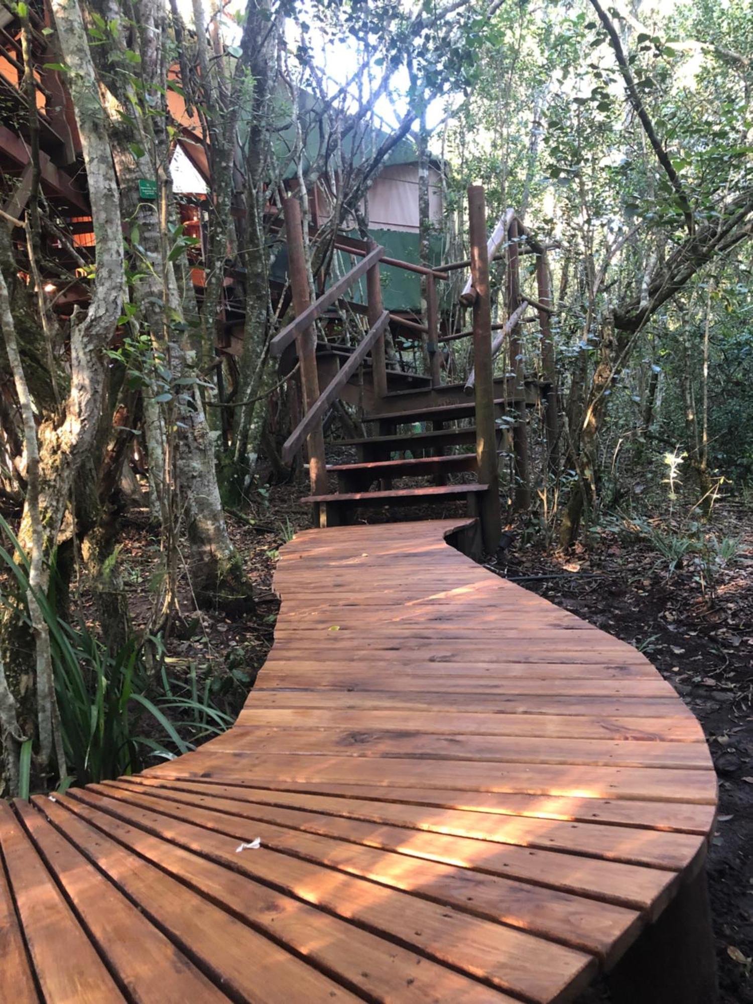 Teniqua Treetops Karatara Settlement Bagian luar foto