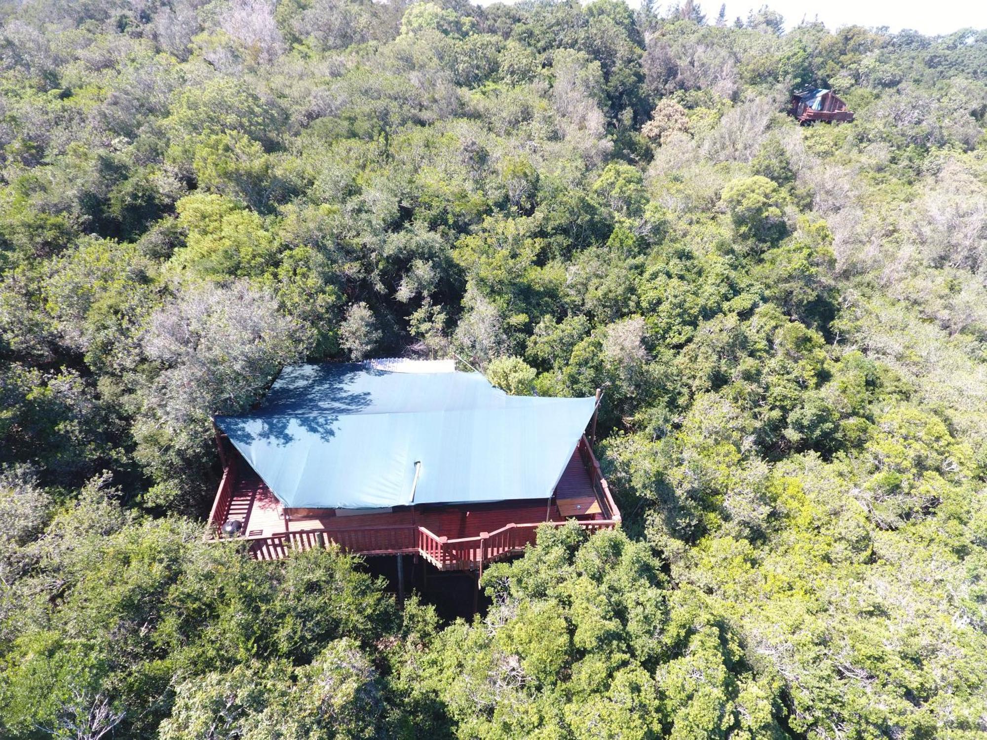 Teniqua Treetops Karatara Settlement Bagian luar foto