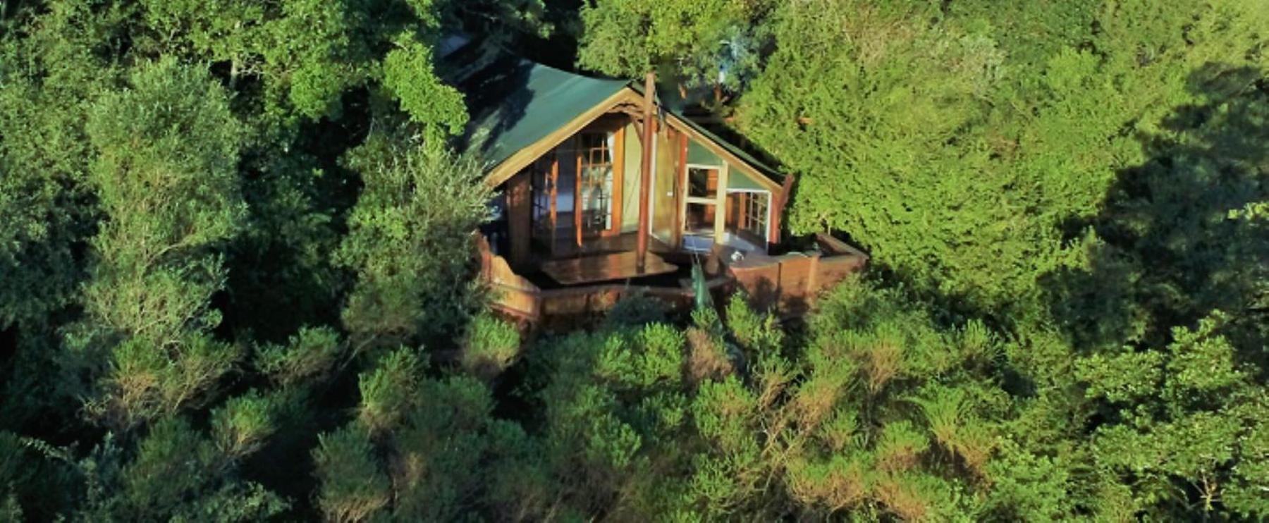 Teniqua Treetops Hotel Karatara Settlement Bagian luar foto