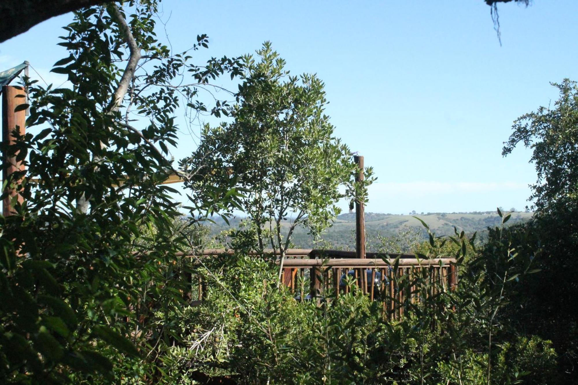 Teniqua Treetops Hotel Karatara Settlement Bagian luar foto