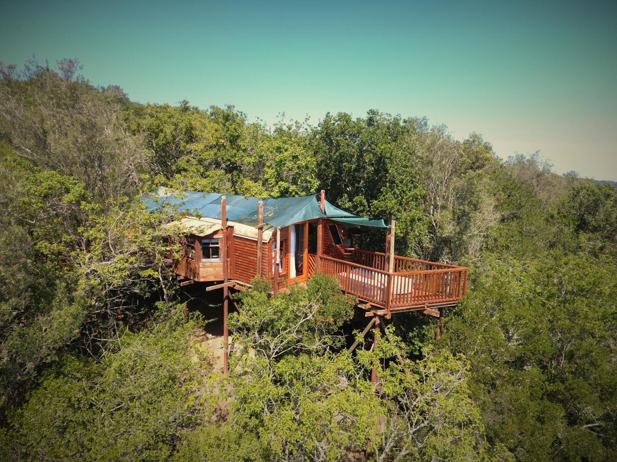 Teniqua Treetops Hotel Karatara Settlement Bagian luar foto