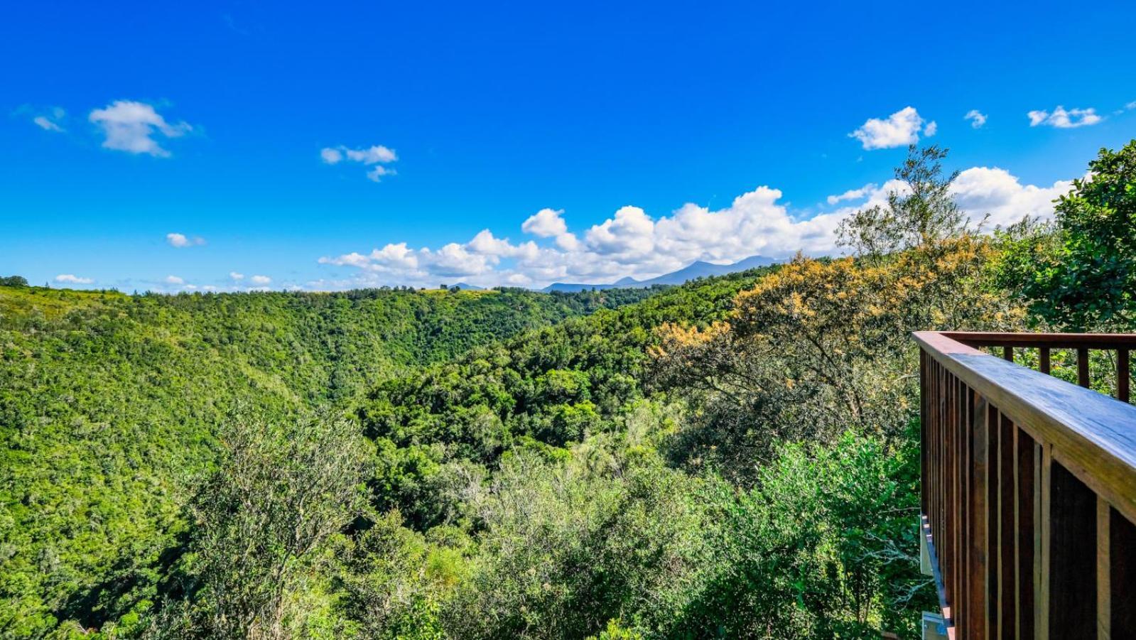 Teniqua Treetops Karatara Settlement Bagian luar foto