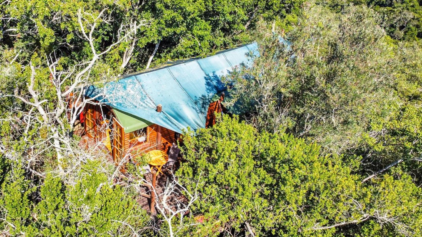 Teniqua Treetops Karatara Settlement Ruang foto