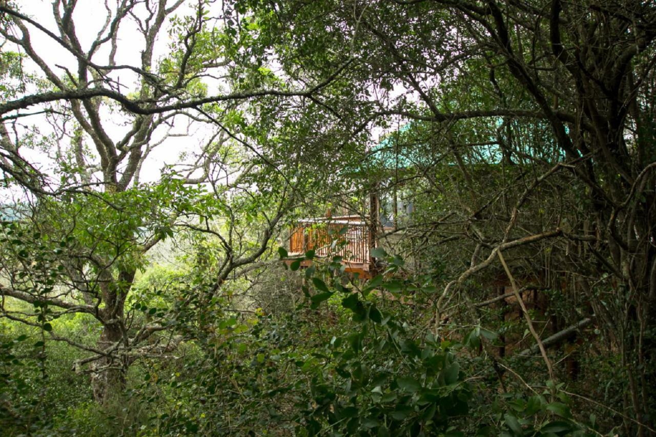 Teniqua Treetops Hotel Karatara Settlement Bagian luar foto