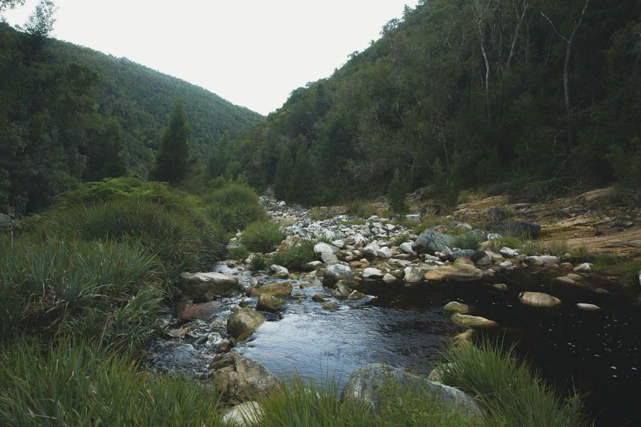 Teniqua Treetops Karatara Settlement Bagian luar foto
