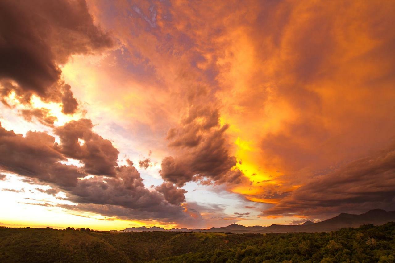 Teniqua Treetops Hotel Karatara Settlement Bagian luar foto