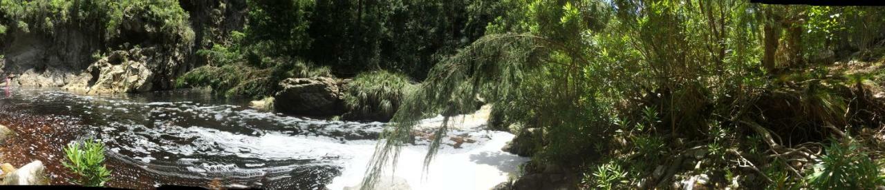 Teniqua Treetops Hotel Karatara Settlement Bagian luar foto