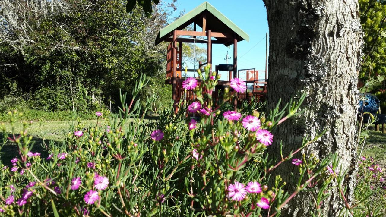 Teniqua Treetops Hotel Karatara Settlement Bagian luar foto