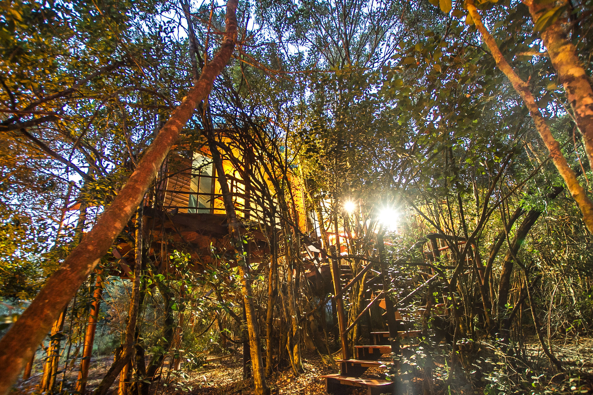 Teniqua Treetops Hotel Karatara Settlement Bagian luar foto