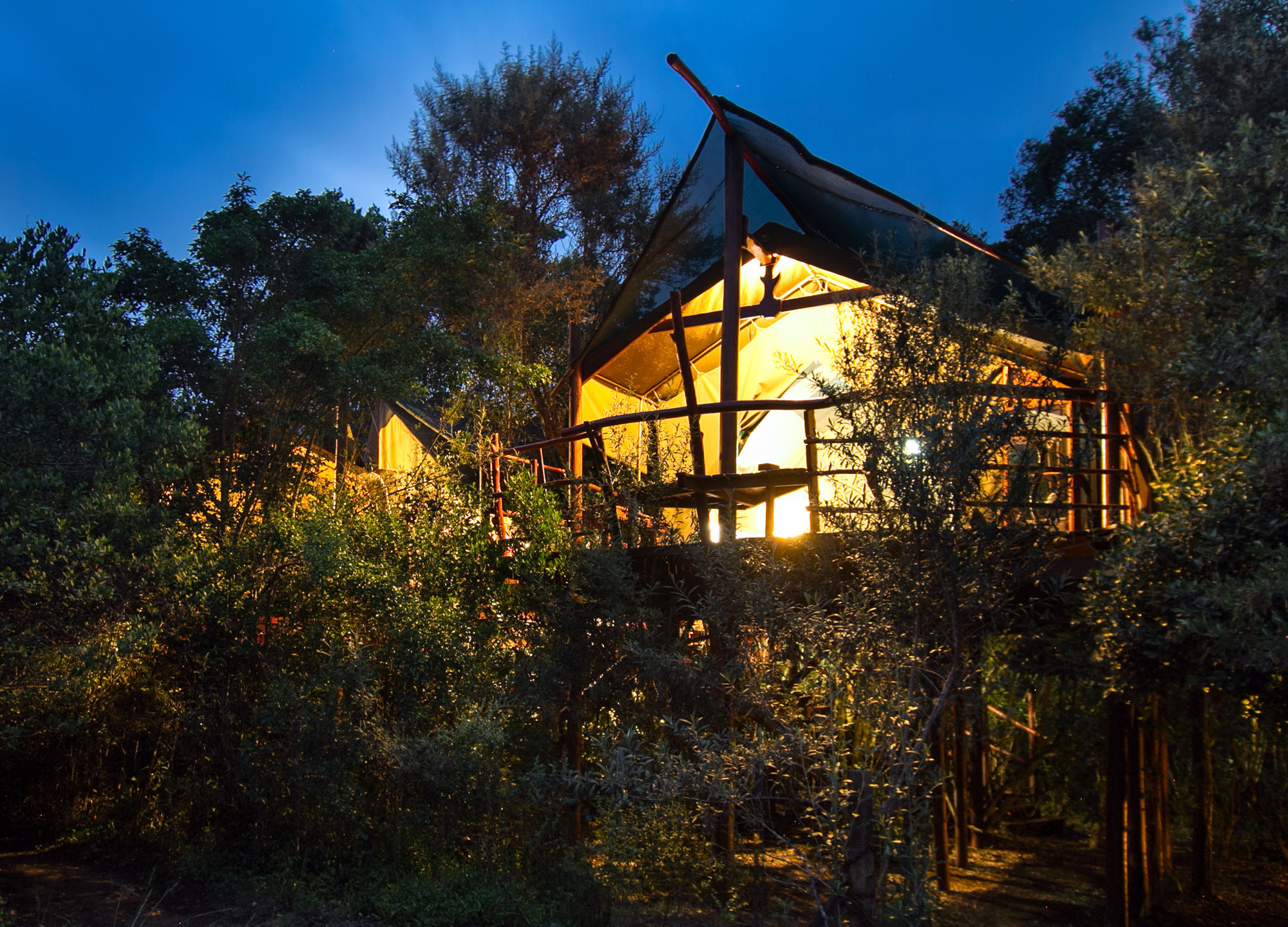 Teniqua Treetops Hotel Karatara Settlement Bagian luar foto