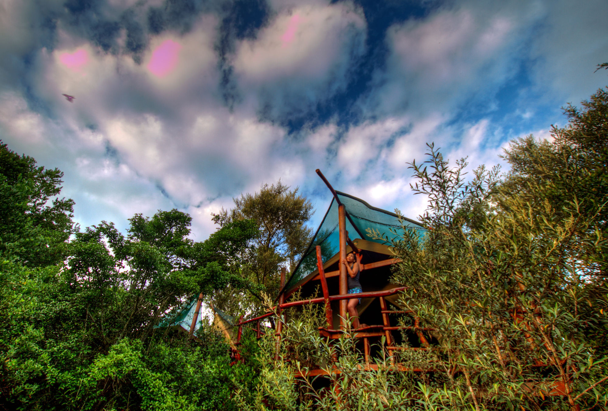 Teniqua Treetops Hotel Karatara Settlement Bagian luar foto